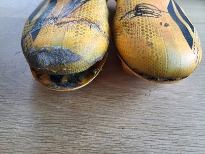 Schoenen Sabir Agougil (1) - Afbeelding 5