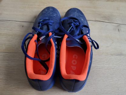 Schoenen Roman Ferber
