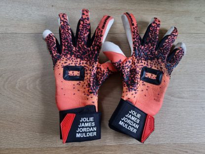 Handschoenen Erwin Mulder (met naam)