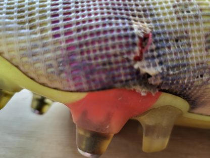 Schoenen Nike geel (FC Dordrecht) - Afbeelding 5