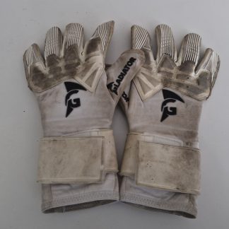 Handschoenen Brett Minnema (1)
