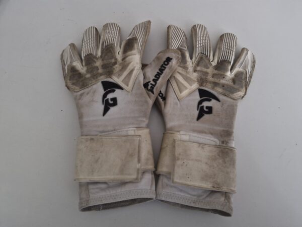 Handschoenen Brett Minnema (1)