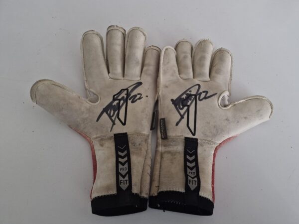Handschoenen Daan Reiziger (met naam) - Afbeelding 2