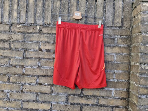 SC Cambuur jeugdshirt + broekje nummer 22 (rood) - Afbeelding 4