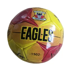 Go Ahead Eagles gesigneerde bal